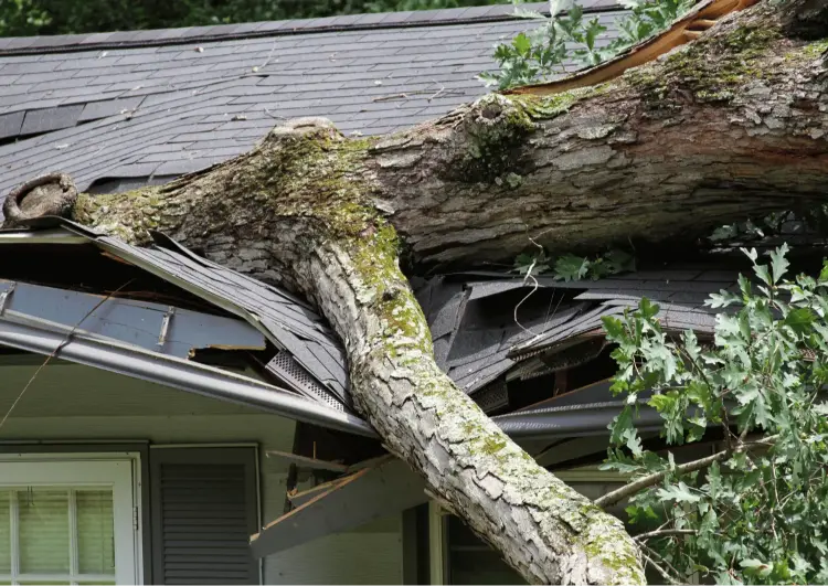 storm impact on roof