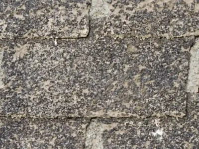 Severely weathered asphalt shingles with heavy granule loss showing early roof failure in Northwest Arkansas