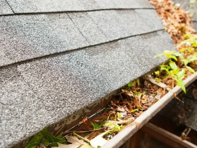 Clogged gutter filled with leaves and debris causing water buildup