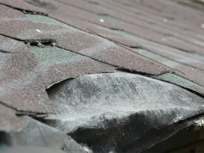 Hail and wind damaged residential roof shingles
